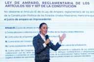 El amparo: Claudia y su reverso