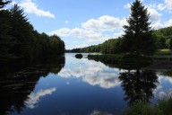 New forestry technique aims to improve resiliency