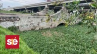 Restringen acceso a la ribera del río Lerma en San Mateo Atenco por trabajos preventivos