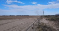 Colonia Josefa, una zona de secano que puede transformarse en un polo productivo clave en el Valle Medio