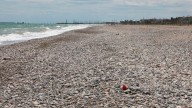 Sagunt lamenta el último "jarro de agua fría" para sus playas del norte