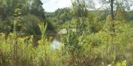 The role of Streambank Management Areas in Vermont