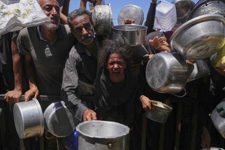 “Menos de 235 hectáreas cultivables”. La FAO alertó sobre la hambruna en Gaza y pidió priorizar el acceso a los alimentos