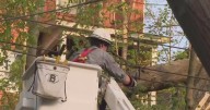Duquesne Light unveils plan to improve response to massive power outages after severe storms