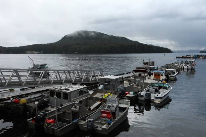 4.8 magnitude earthquake off Bella Bella, B.C., no damage expected