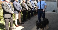 New England Police sniffer dog to be replaced after retirement