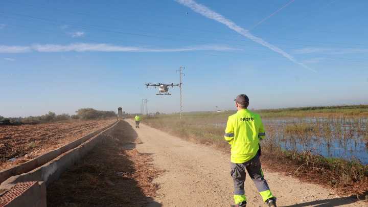 Pirmera víctima mortal de fiebre del Nilo: un hombre de 77 años en Extremadura