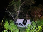 Accidente en Tizimín: choca contra un árbol y sus compañeros lo abandonan