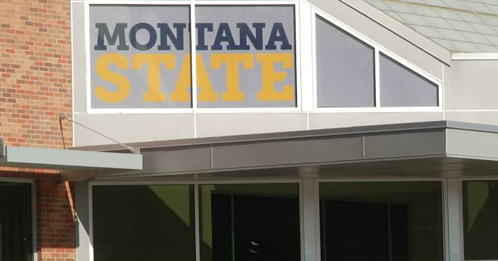 Montana State University sees record-breaking enrollment this fall