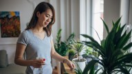 How to keep your houseplants alive in autumn and winter - when they're in the 'dormant phase'