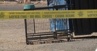 Dog found near dumpster was left out in triple-digit heat, arrest report shows