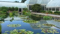 HGTV names New York’s most beautiful garden: See which one made the list