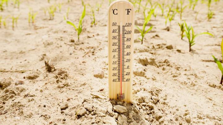 Los fenómenos climáticos extremos dejarán en España pérdidas de más de 12.000 millones en 2025