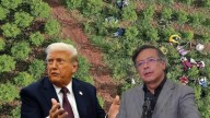 Descertificación a Colombia: EE. UU. fustiga al Gobierno Petro, pero destaca esfuerzo de instituciones y autoridades locales
