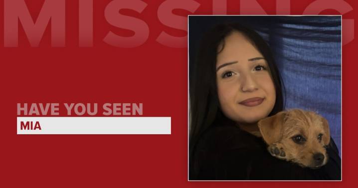 Fort Collins police searching for missing 13
