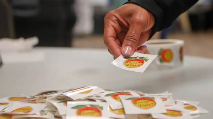 A new method will be necessary to collect Georgia votes as of July 1