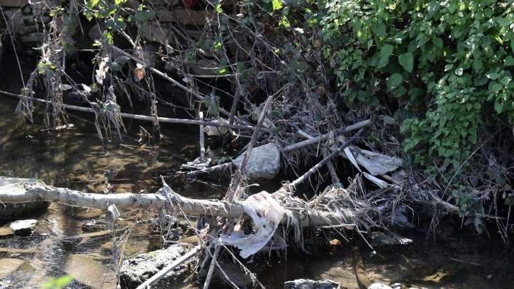 Filtro verde, pasarela accesible y un muro de contención: las mejoras en la Ribera del Marco de Cáceres