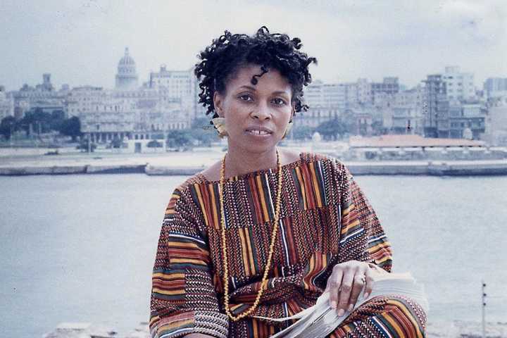Assata Shakur, who wrote and fought for Black liberation, dies at 78