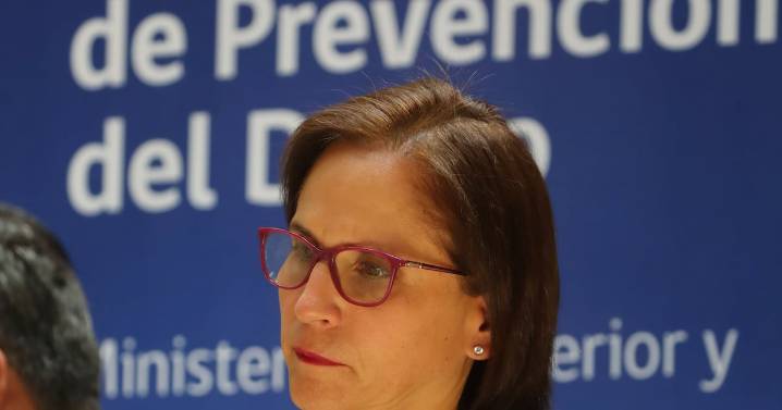 Subsecretaria Leitao y demora en Ley de Seguridad Municipal: “Los municipios requieren y necesitan que salga este proyecto”