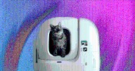 Treat Yourself (and Your Cat) With the Best Automatic Litter Boxes