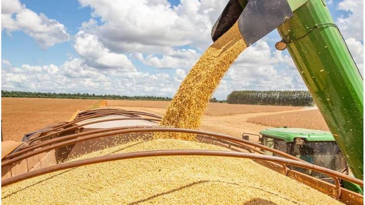 En busca de dólares, el Gobierno elimina retenciones a los granos hasta el 31 de octubre