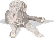 Dear Abby: Grandma’s fear of daughter’s iffy big dog has her worried about helping with new baby