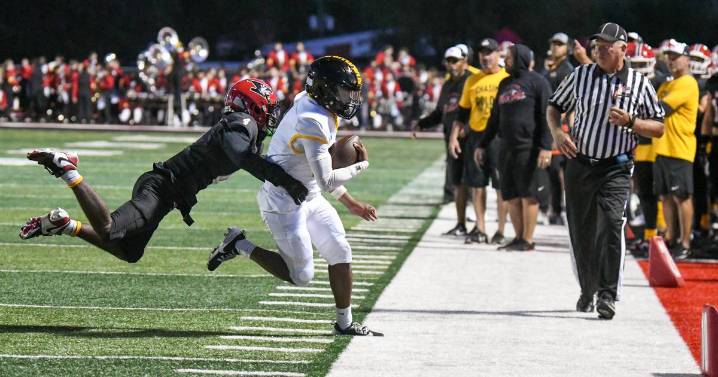 Will County Week 2, 2025 high school football roundup