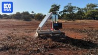 Beekeepers turn to real time AI monitoring in varroa mite prevention