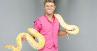 Snake handling pays off for Robert Irwin on 'Dancing with the Stars'