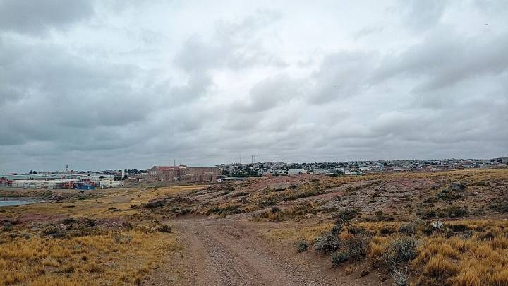Fauna marina por doquier: te contamos qué hacer en Puerto Deseado