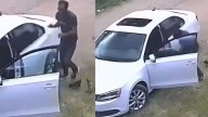 Captan a hombre abandonando a perrita y sus cachorros; exigen justicia