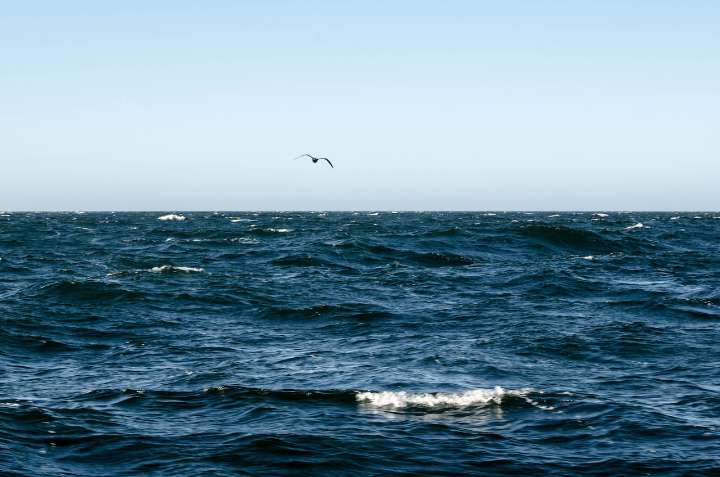 BPA will buy wave-energy power generated at Oregon coast test site