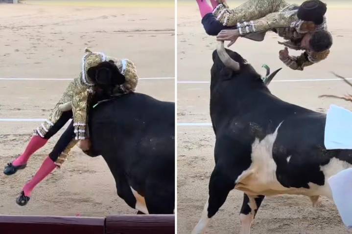 Horrific video shows veteran matador viciously gored in Madrid bullfight