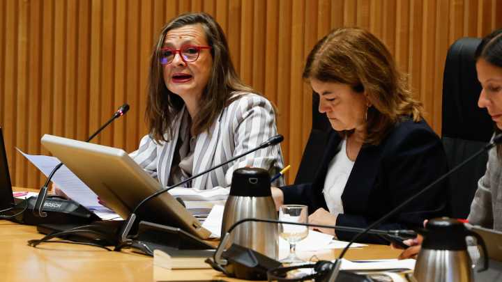 Igualdade pide "desculpas" ás vítimas pola inquietude xerada polas pulseiras