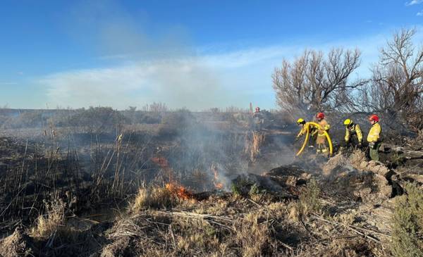 Incendio de pastizales en Ruta 7