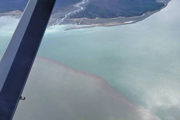 U.S. Senate unanimously approves bill to improve harmful algal bloom response