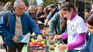 Día de la Primavera y del Estudiante: a dónde se realizará el frutazo en Neuquén