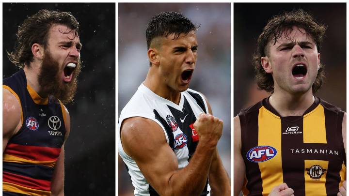 AFL finals 2025: Premiership favourites, contenders, why every team can and can’t win the flag, Adelaide Crows, Collingwood, Geelong, Hawthorn, analysis, latest news