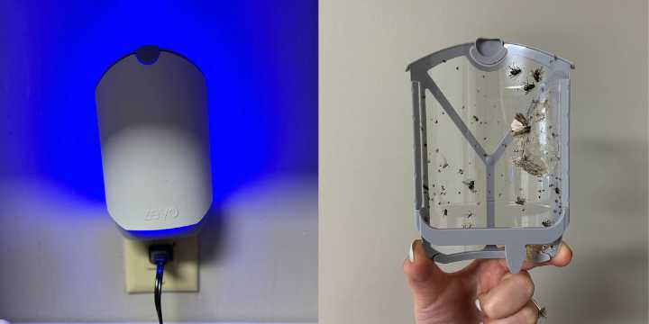 7 Best Indoor Mosquito Traps to Get Rid of Bugs for Good