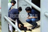 Apuñala y mata alumno a otro estudiante en CCH Sur
