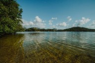 Este tranquilo lago de Estados Unidos esconde una devastadora fuerza en su interior: científicos lo clasifican como verdadera amenaza