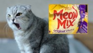 Meow Mix Sued For False Advertising After Study Shows Cats Were Just Making Standard Cat Noises And Not Asking For A Particular Brand Of Food