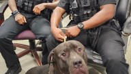 Deptford police officers go viral on social media
