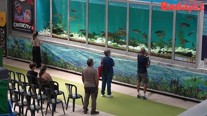 Vídeo | 4.500 pescadores y 700 cazadores obtienen la licencia digital en Extremadura