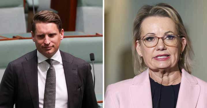Australian politics: Hastie dismisses 'mischievous' speculation after immigration social media post