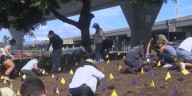 Native planting pays tribute to first responders lost on 9/11