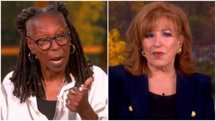 'The View': Whoopi Goldberg & Joy Behar Spar Over Trump Cabinet Woes