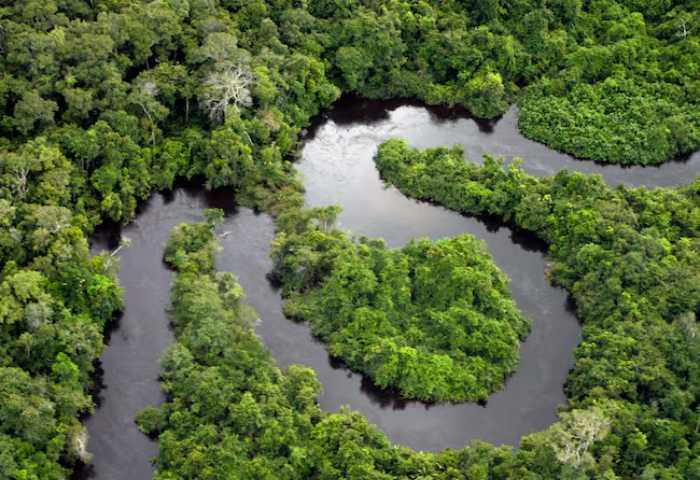 Perú y Colombia sientan bases para tratar diplomáticamente tensión por isla en el Amazonas