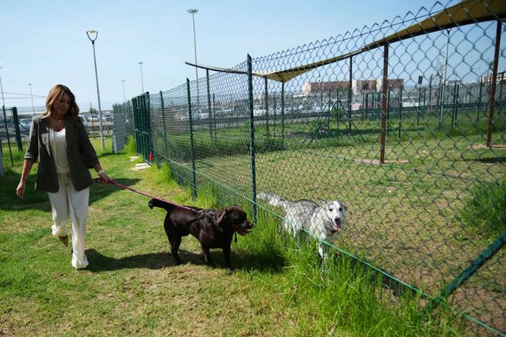 Rome airport opens dog hotel