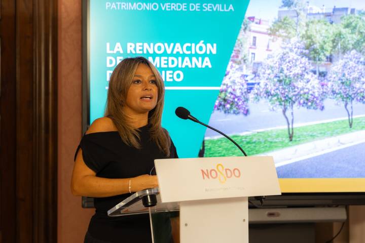 Los principales accesos a Sevilla serán "corredores verdes" con ocho reajardinamientos